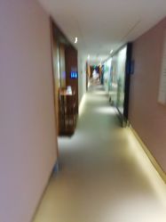 -明宇集团·积木枝芽母婴健康管理中心(天府店)