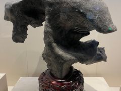 -安徽省地质博物馆
