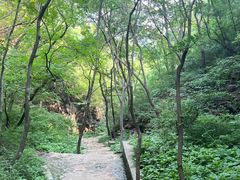 -老象峰