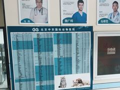 -中农国际动物医院24小时·猫科·骨科·急重症中心