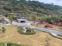 -福建土楼（华安）旅游区•大地土楼群