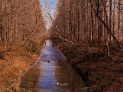 -黄海国家森林公园