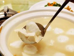 财鱼豆腐汤-刘胖子家常菜·蹄花焖藕(中南店)