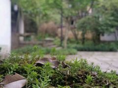 -法云安缦酒店