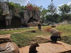 -海南热带野生动植物园