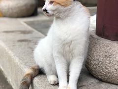 -西园寺