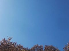 -南京钟山宾馆(江苏省会议中心)