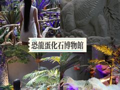 -中国西峡恐龙遗迹园