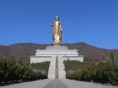 -中原大佛景区