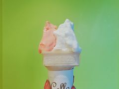 柠檬车露-柠檬车露(卖草地店)