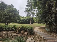 -堤角公园
