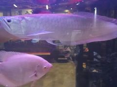 -秦桥足道·SPA·影院(万达店)