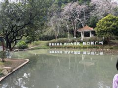 -火炉山森林公园