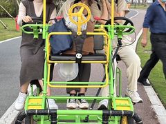 -野狸岛