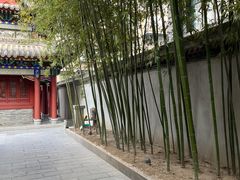 -罔极寺
