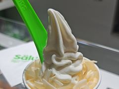 -Salud撒露欧洲冻酸奶(北苑上品店)