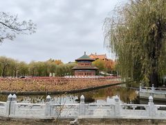 -大明幻境第一城