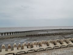 -南汇新城海滩