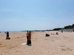 -日照海滨国家森林公园