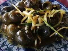 -生态苑农庄(十里画廊遇龙河店)