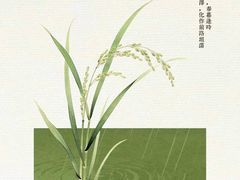 -小六农家乐(崇明西沙湿地店)