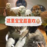 放电好去处 || 藦茜花园宠物主题体验馆