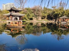 -水绘园