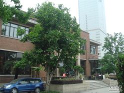 DSC05996-上海瑞金洲际酒店·宴会厅