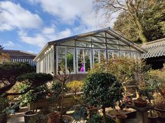 -普陀山慧济禅寺