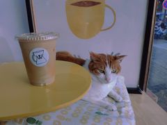 -W Coffee(船板巷店)