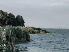 -阳澄湖半岛旅游度假区