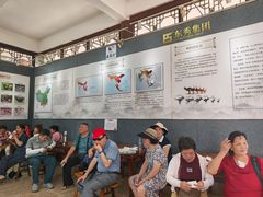 -飞来湖湿地公园