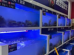 -蟹状元大闸蟹·年货·粽子(成都成华店)