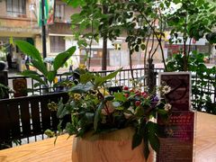 -萨尔瓦多Salvador's