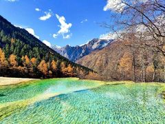 -黄龙山原始森林景区