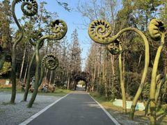 -东平国家森林公园