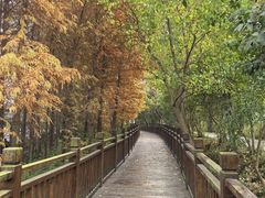 -溱湖国家湿地公园