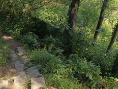 -崂山九水游览区