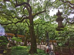 -法雨寺餐厅