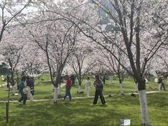 -高岚大峡谷旅游度假区