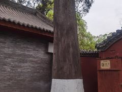 -武侯墓风景区