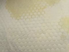 -舒月母婴月嫂育儿嫂(静安店)