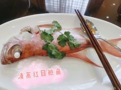 -同发大酒家