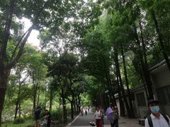 -晓港公园