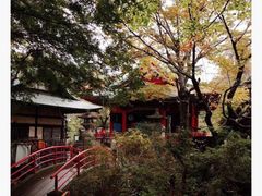 -井之头恩赐公园
