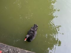 -珠海圆明新园