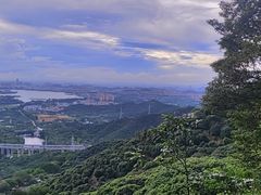 -东莞市大岭山森林公园
