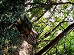 -乌山风景区