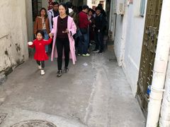 -老妈宫粽球