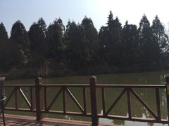 -崇明东平国家森林公园烧烤房车露营地